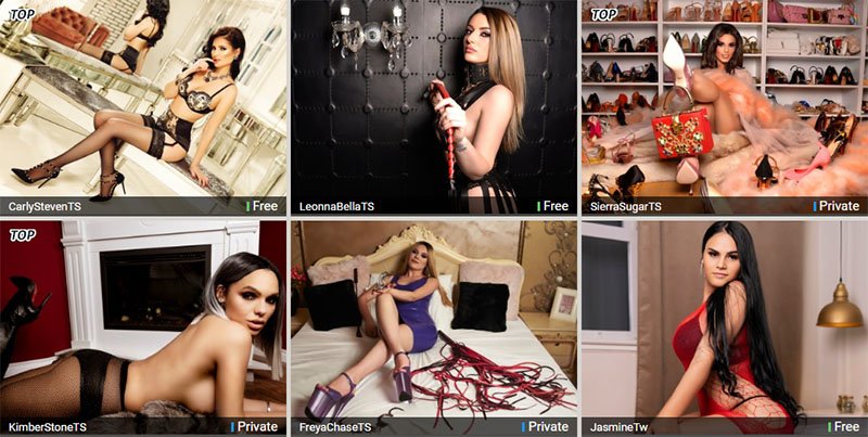 Host view on home page at TgirlsCams.com